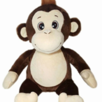 Coco the Monkey