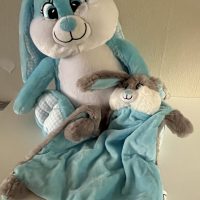 Bebi Beau Blue Set