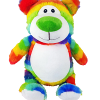 Rainbow Bear Cubbie